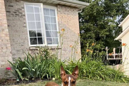 Frost Family Pet Clinic