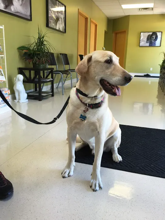 Frost Family Pet Clinic 12