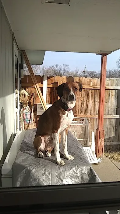 Animal Clinic of Rockford 12