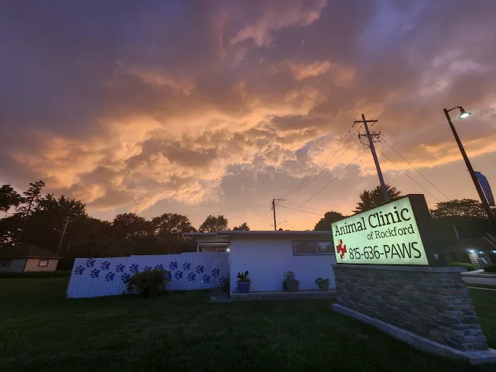 Animal Clinic of Rockford 12