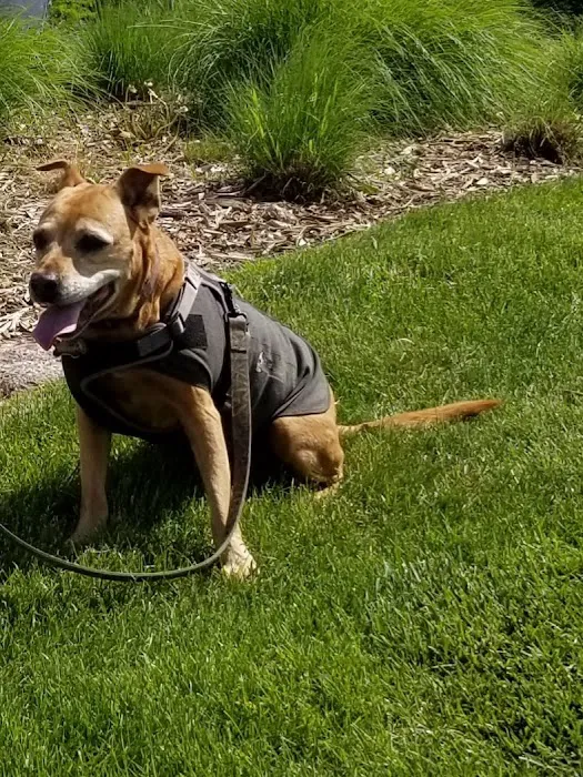Animal Clinic of Rockford 12