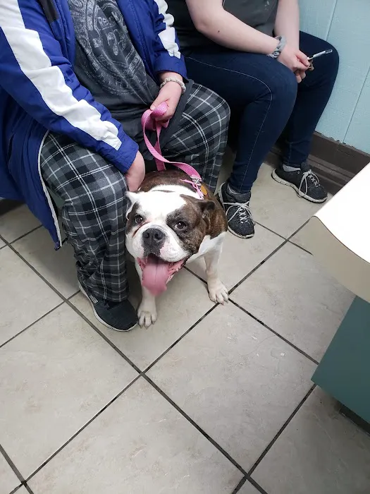 Animal Clinic of Rockford 12