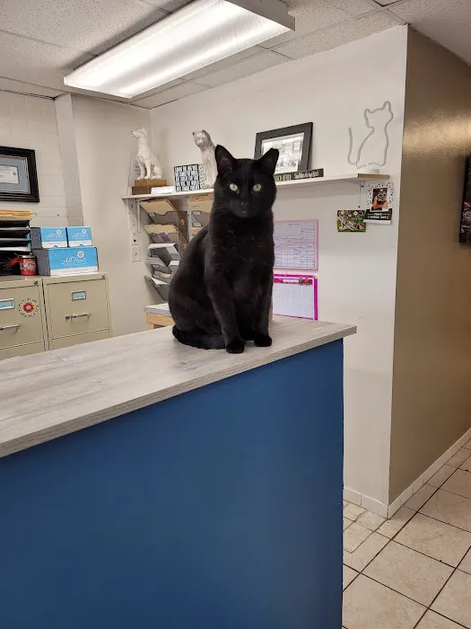 Animal Hospital of Loves Park 12