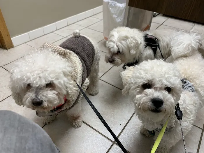 Animal Hospital of Loves Park 12
