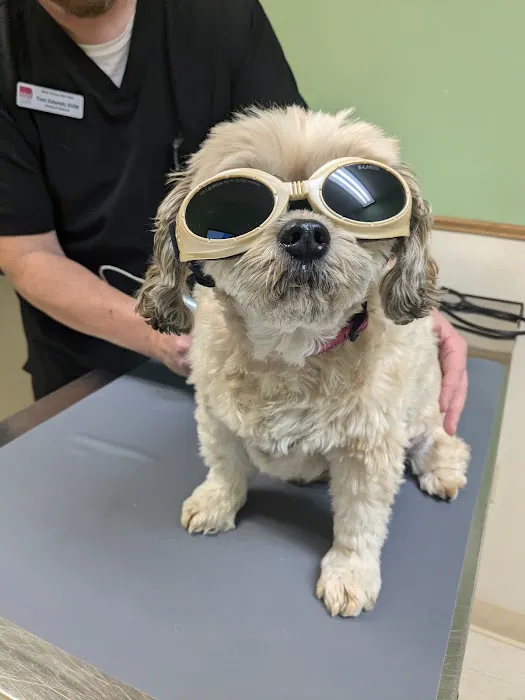 Deer Grove Veterinary Clinic 12