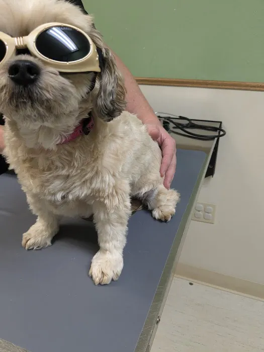 Deer Grove Veterinary Clinic 12