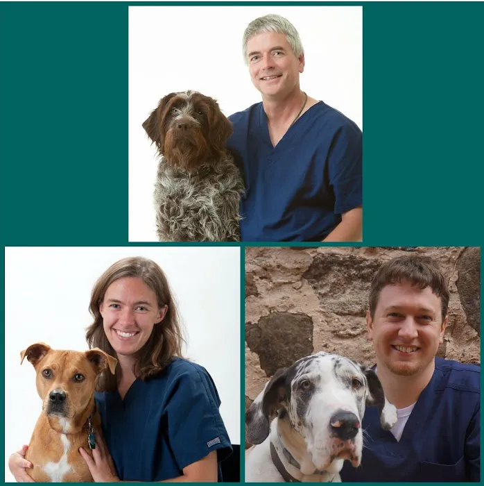 Deer Grove Veterinary Clinic 12