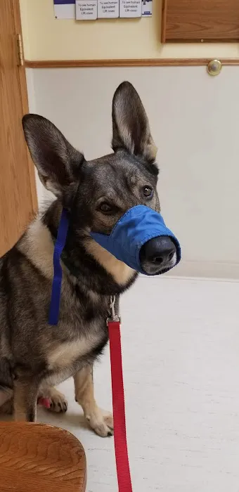 Deer Grove Veterinary Clinic 12