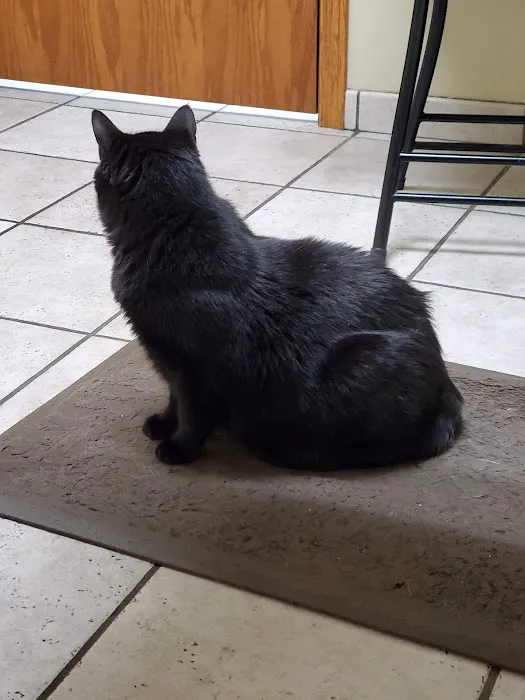 Tyler Veterinary Clinic 12
