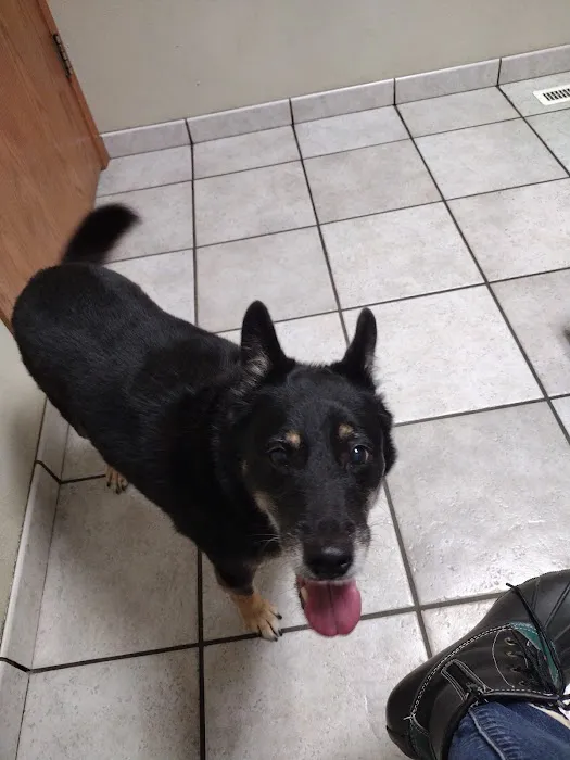 Tyler Veterinary Clinic 12