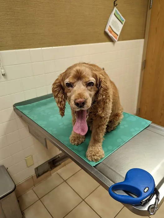 Hillcrest Animal Hospital 2