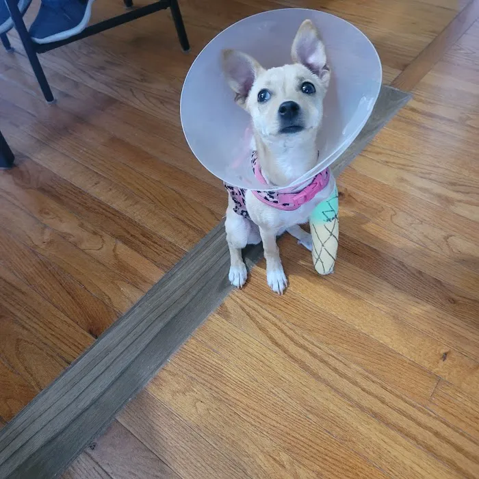Hillcrest Animal Hospital 7