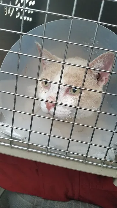 Hillcrest Animal Hospital 5