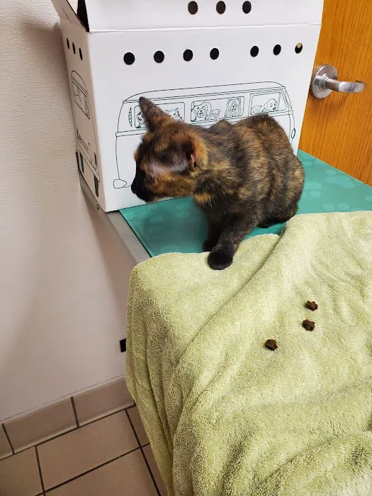 Hillcrest Animal Hospital 9