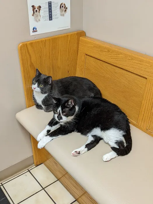 Animal Medical Clinic 12