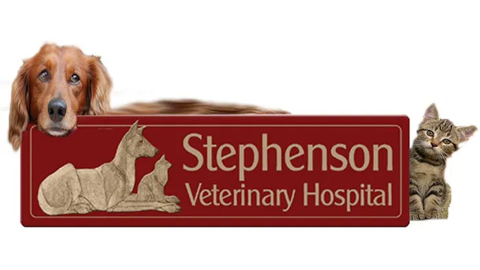 Stephenson Veterinary Hospital 12