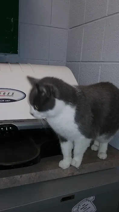 Stephenson Veterinary Hospital 12