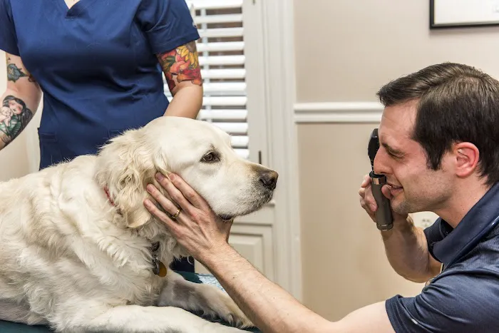 Catoctin Veterinary Clinic 12