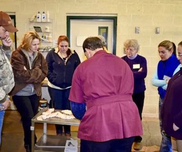 Equine Reproduction Concepts