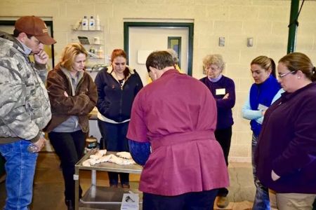 Equine Reproduction Concepts