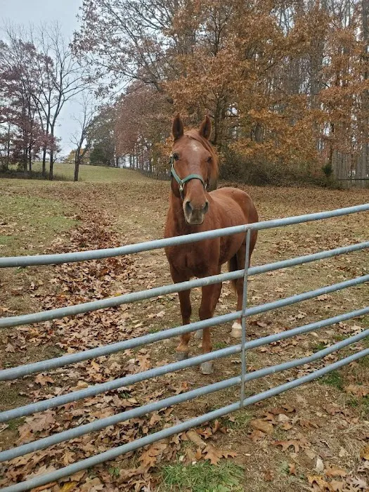 Full Circle Equine Services 2