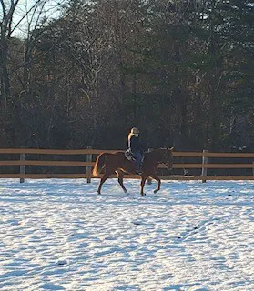 Full Circle Equine Services 1