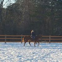 Full Circle Equine Services ico