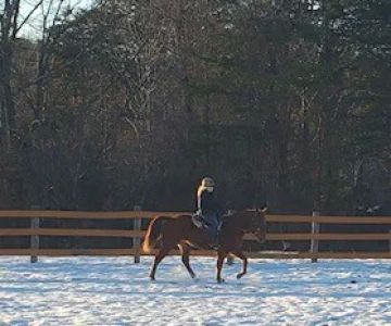 Full Circle Equine Services