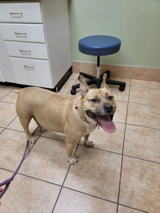 Lakewood Animal Hospital 1