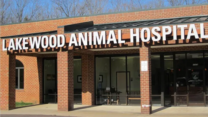 Lakewood Animal Hospital 10