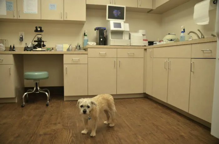 Locust Grove Veterinary Clinic 4