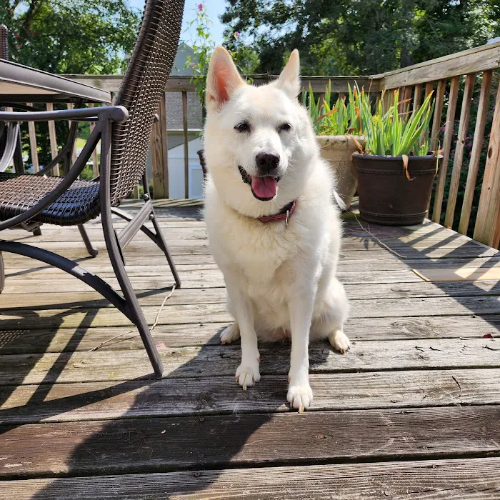 Hartwood Animal Hospital 12