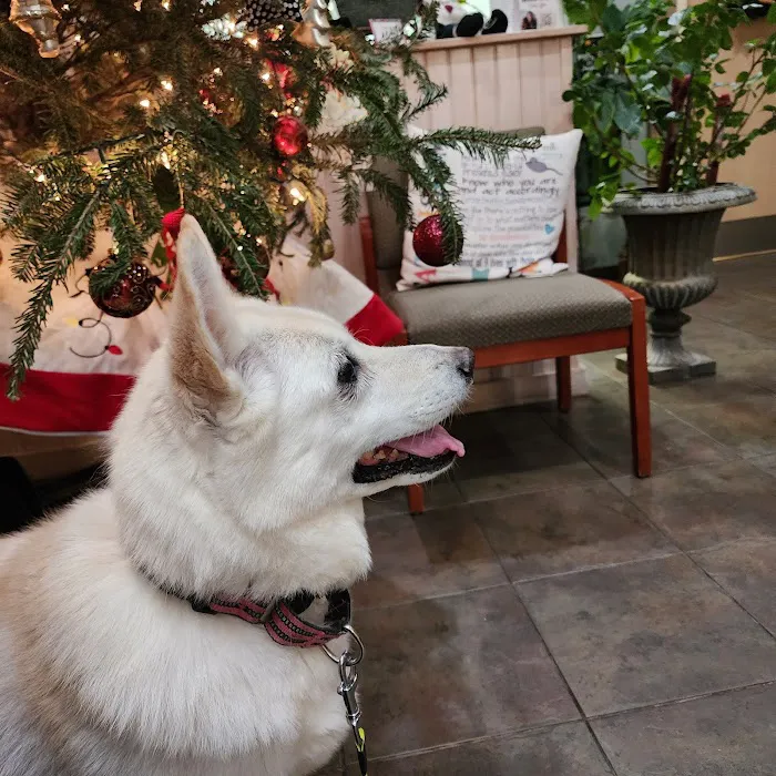 Hartwood Animal Hospital 12
