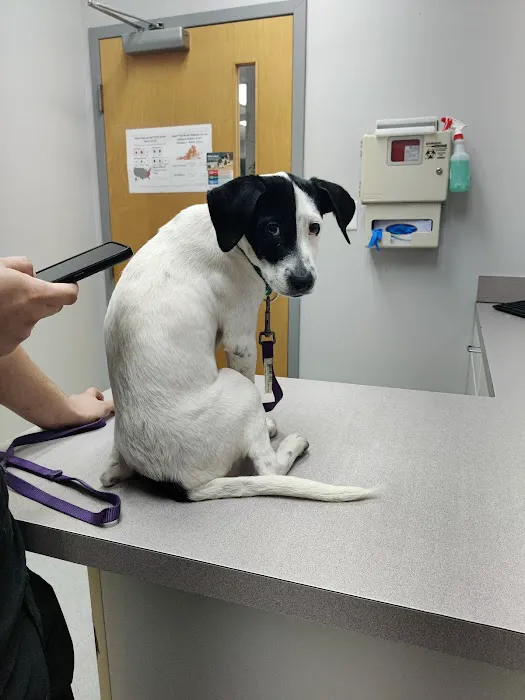 England Run Veterinary Clinic 12