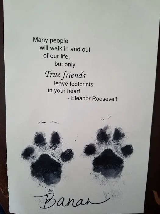 Culpeper Animal Hospital: Kellum Andrea DVM 12
