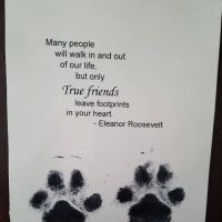 Culpeper Animal Hospital: Kellum Andrea DVM ico