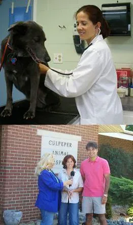 Culpeper Animal Hospital 12