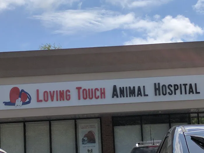 Loving Touch Animal Hospital 12