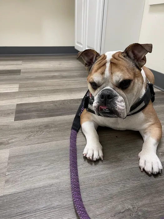 Hope Animal Hospital 12