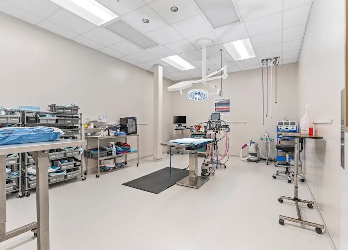 Virginia Veterinary Centers - Fredericksburg 12