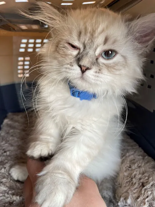 Virginia Veterinary Centers - Fredericksburg 12
