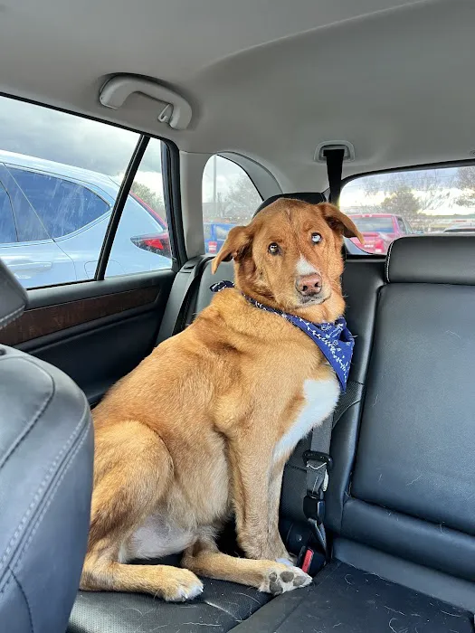 Virginia Veterinary Centers - Fredericksburg 12