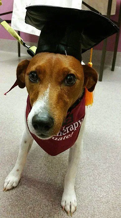 Virginia Veterinary Centers - Fredericksburg 12