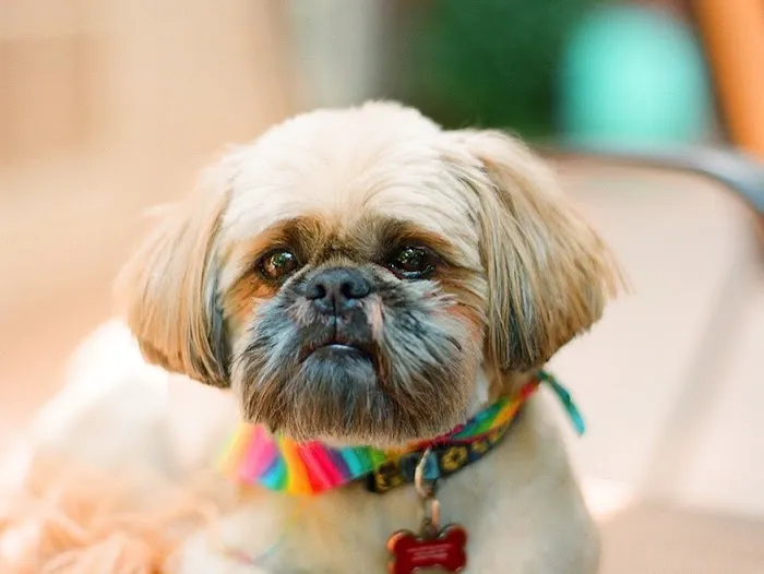 Virginia Veterinary Centers - Fredericksburg 12