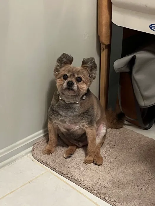 Banfield Pet Hospital 4