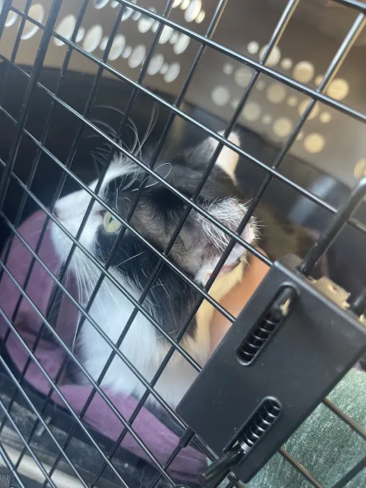 Banfield Pet Hospital 7
