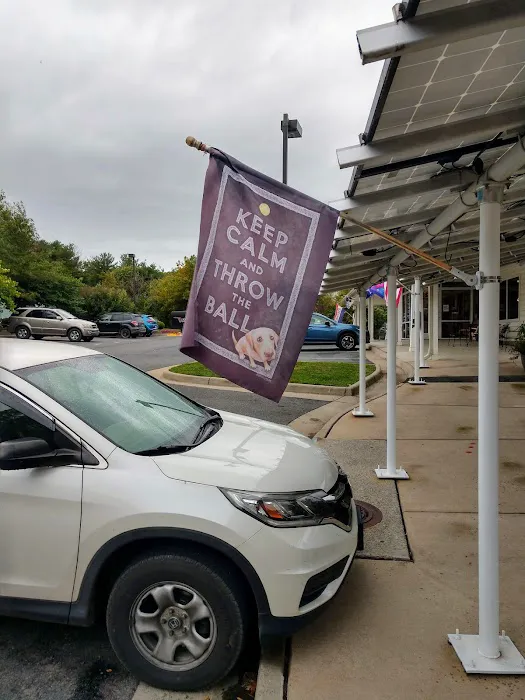 Blue Ridge Veterinary Associates 7
