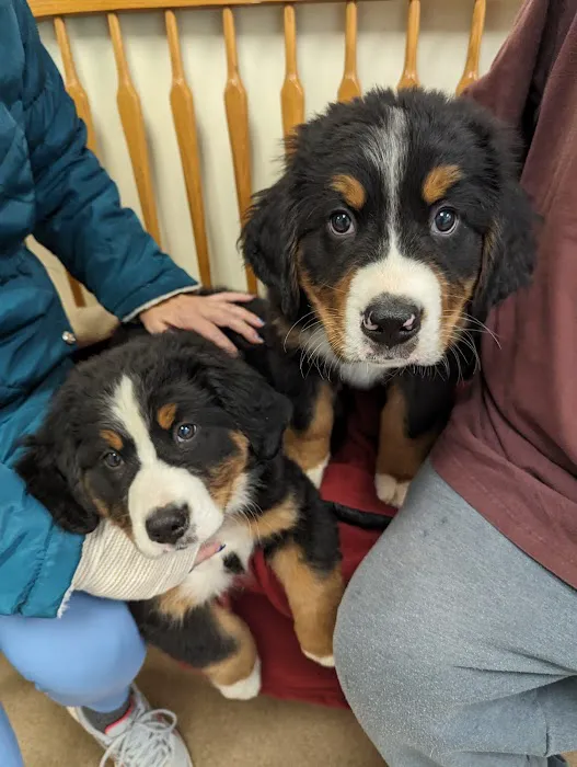 Loudoun Veterinary Service, Inc 7