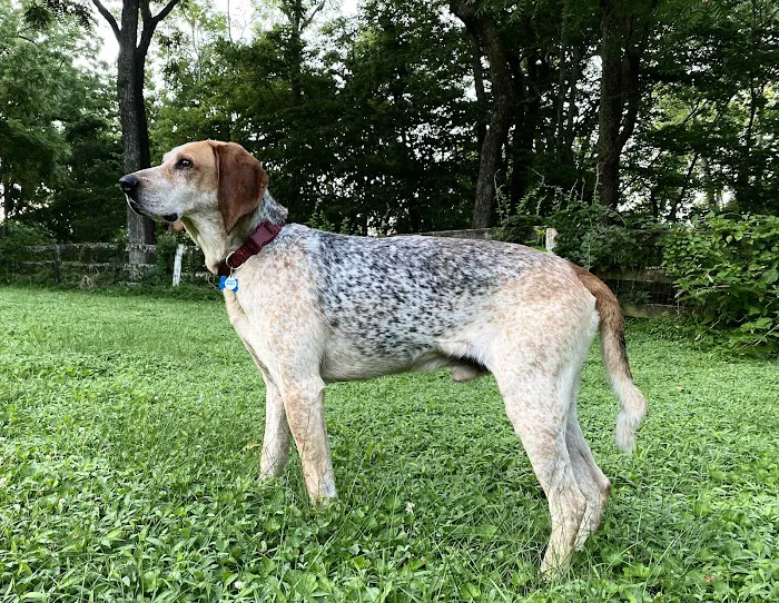 Loudoun Veterinary Service, Inc 8