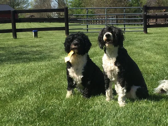 Loudoun Veterinary Service, Inc 10